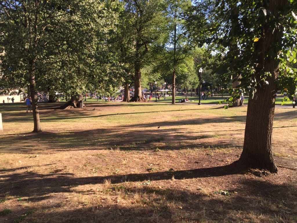 What the same section of Boston Common looked like this week.