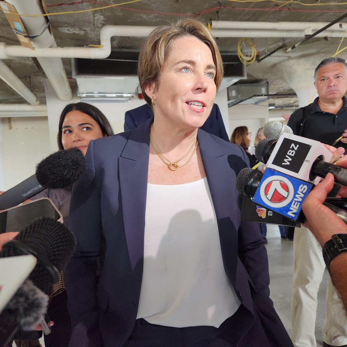 Healey moves to grow behavioral health workforce as access lags