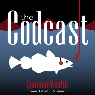 The Codcast from CommonWealth Beacon. Image of a cod fish wearing headphones and speaking into a microphone.