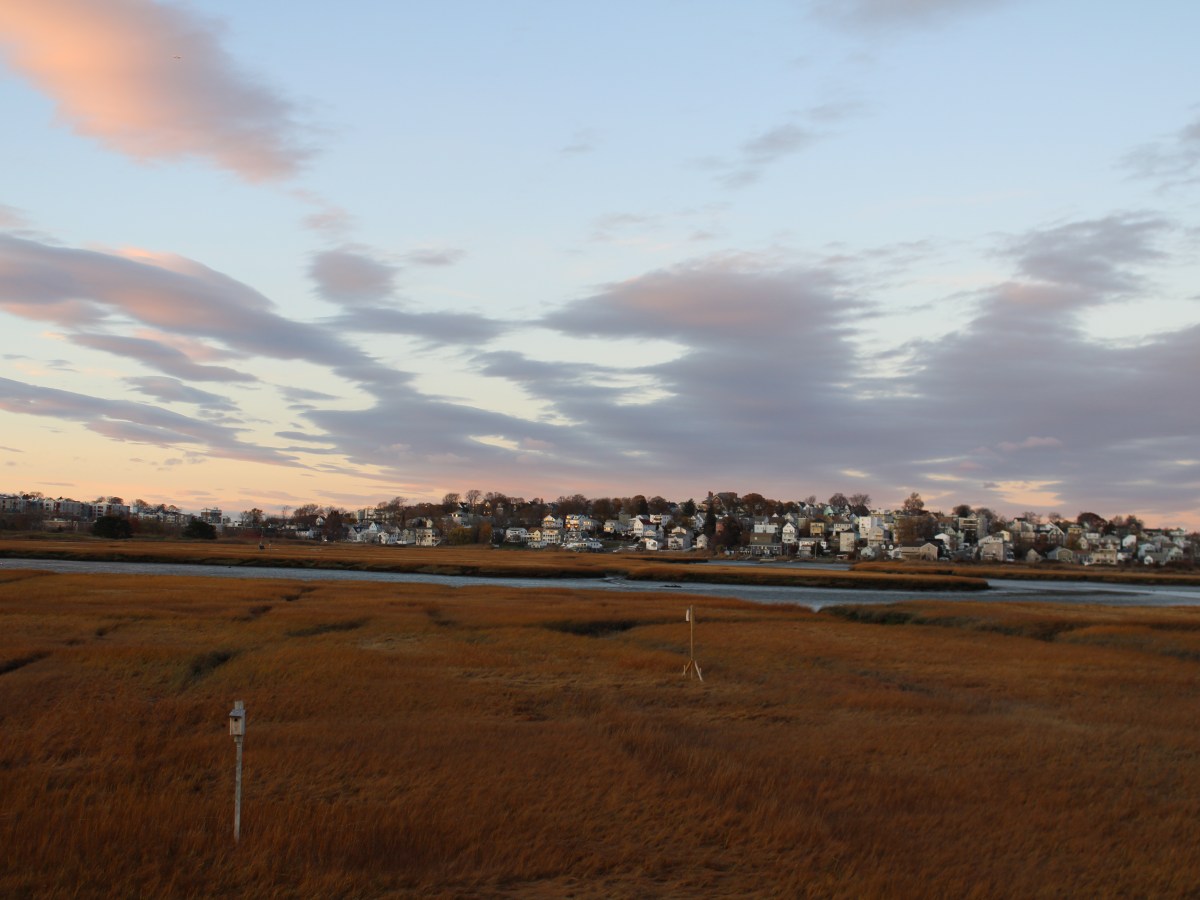 The Belle Isle Marsh in Winthrop, Massachusetts