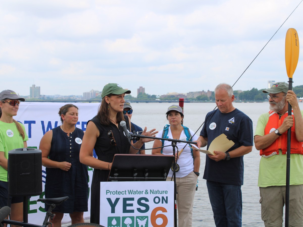 An effort to boost nature, backed by big-money donors, lands in the middle of Mass. ballot question mania